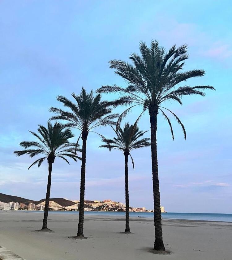 A 50 M De La Plage Cullera Kültér fotó